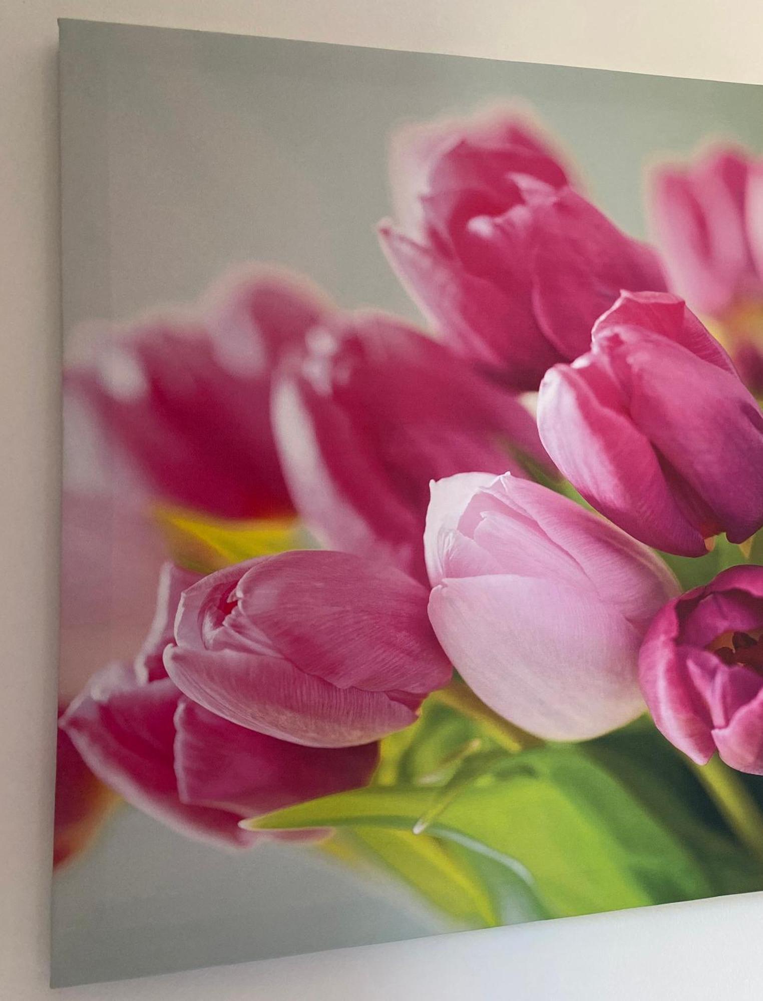 Four Flowers Apartman Siofok Ngoại thất bức ảnh