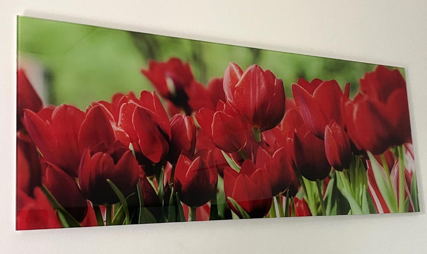 Four Flowers Apartman Siofok Ngoại thất bức ảnh